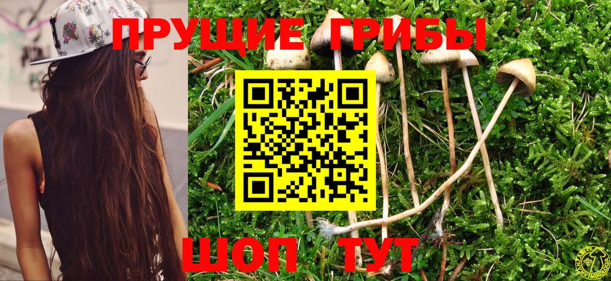 Псилоцибиновые грибы мицелий  Вход с VPN  Троицк 