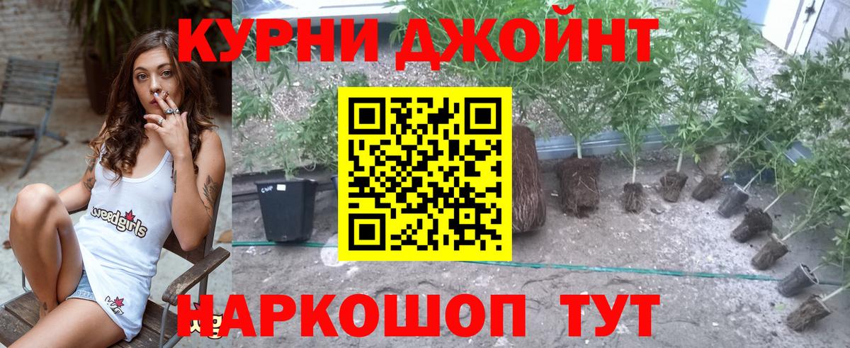 Бошки Шишки ГИДРОПОН  Вход с VPN  Троицк  Канабис AK-47 
